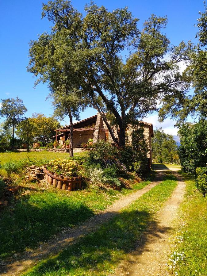 La Simona Casa Rural Perales del Puerto Exterior foto